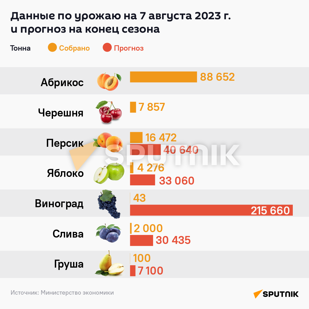 Данные по урожаю на 7 августа 2023 г. и прогноз на конец сезона - Sputnik Армения