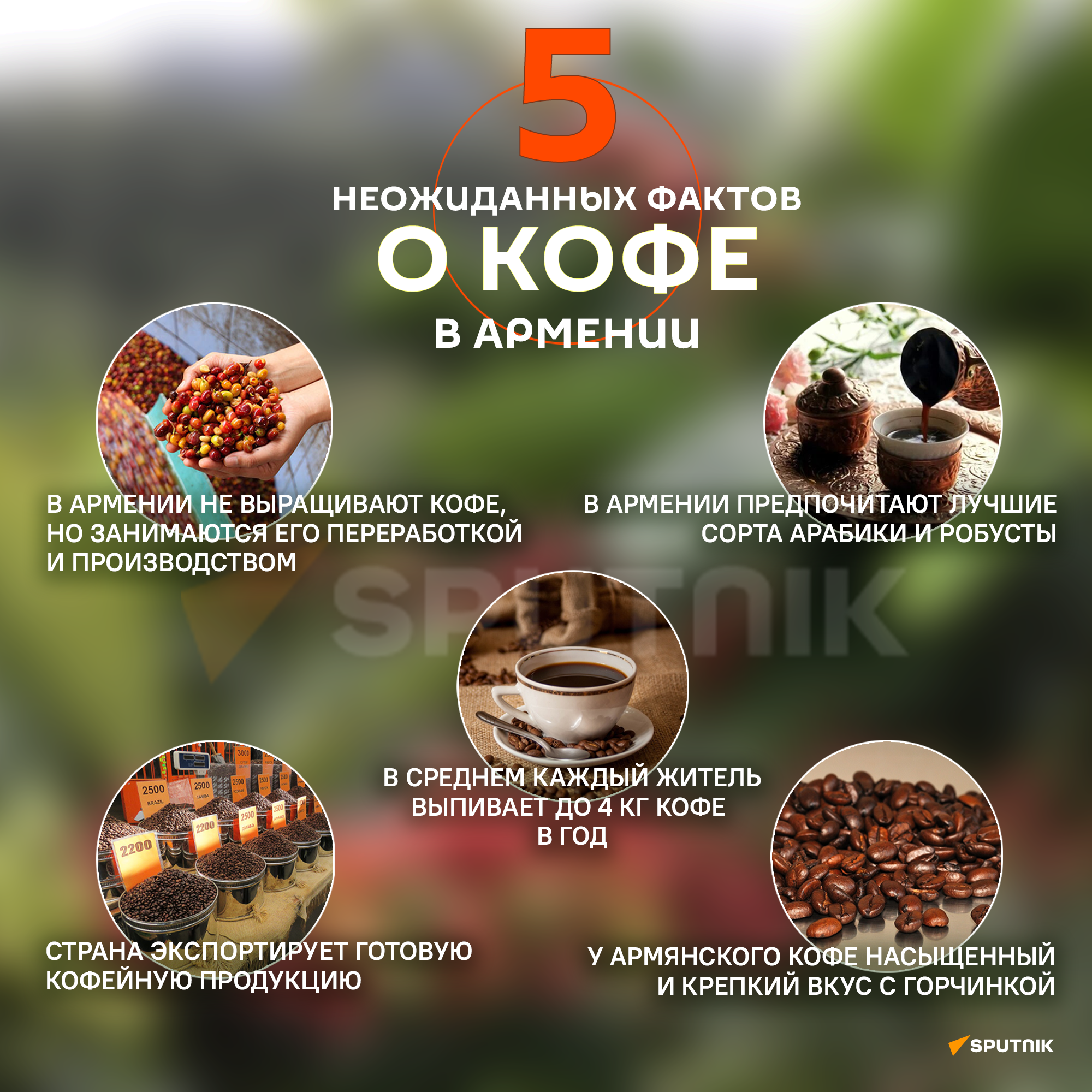 Топ-5 неожиданных фактов о кофе в Армении Топ-5 неожиданных фактов о кофе в Армении - Sputnik Армения