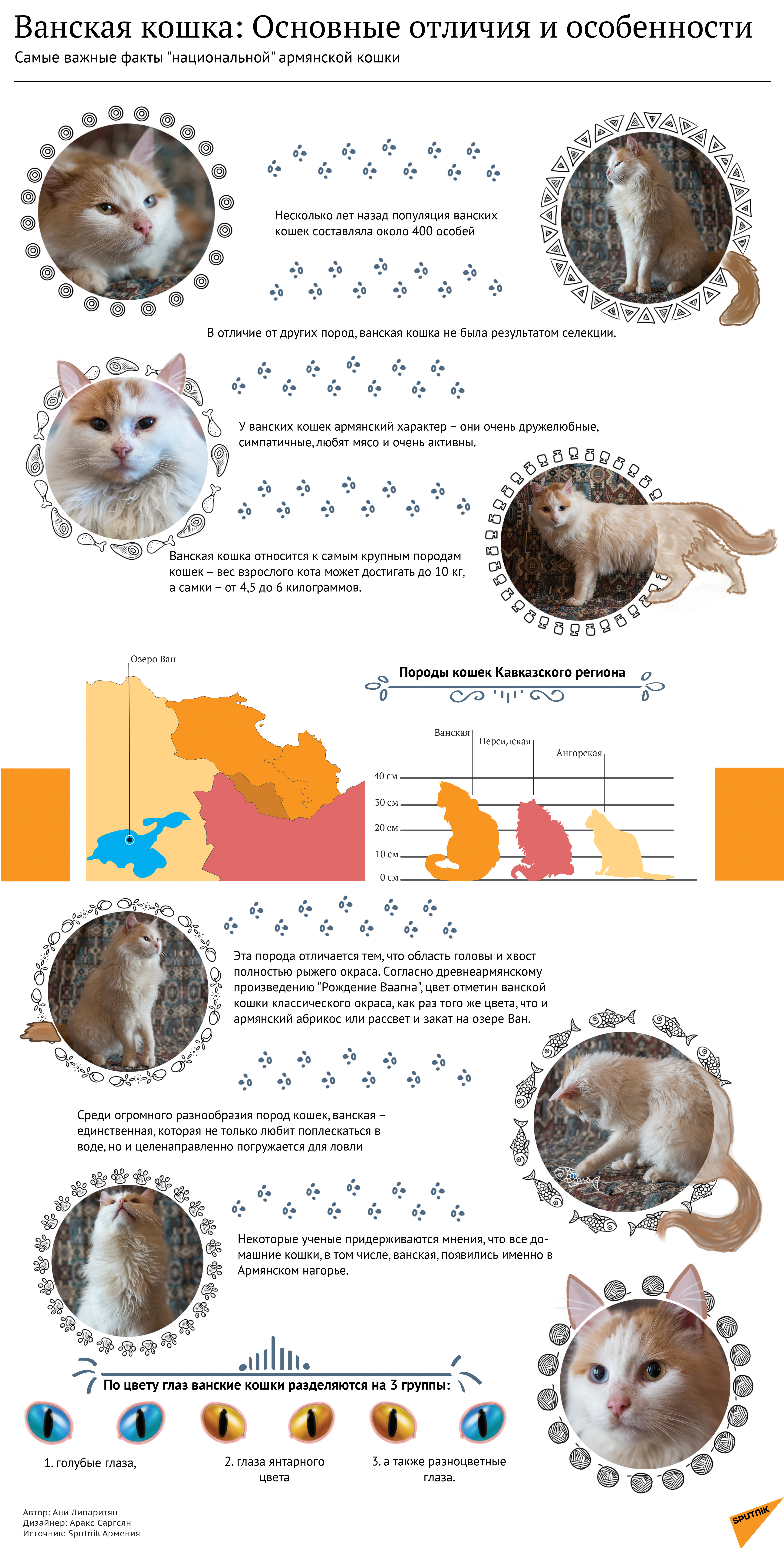 Ванская кошка: основные отличия и особенности - Sputnik Армения
