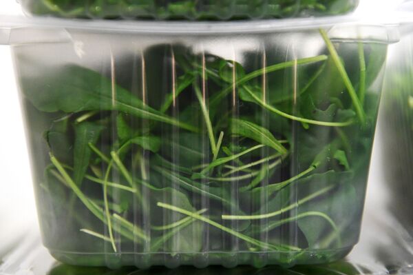 Что происходит с организмом, когда вы едите рукколу? Что происходит с организмом, когда вы едите рукколу? - Sputnik Армения