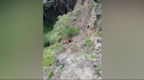 Последнее селфи: сорвавшуюся с 50-метровой скалы женщину сняли на видео - Sputnik Արմենիա