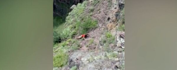 Последнее селфи: сорвавшуюся с 50-метровой скалы женщину сняли на видео - Sputnik Արմենիա