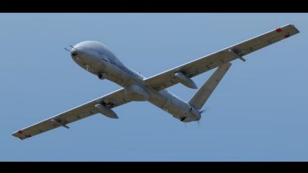 Եթե Hermes 900–ն իրենցը չէ, հետաքրքիր է` ո՞ր երկիրն է խախտել մեր օդային սահմանը. ՊՆ խոսնակ Եթե Hermes 900–ն իրենցը չէ, հետաքրքիր է` ո՞ր երկիրն է խախտել մեր օդային սահմանը. ՊՆ խոսնակ - Sputnik Արմենիա