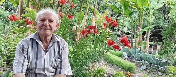 Житель села Айгедзор Тавушской области Мелс Бабаян в своем саду - Sputnik Արմենիա