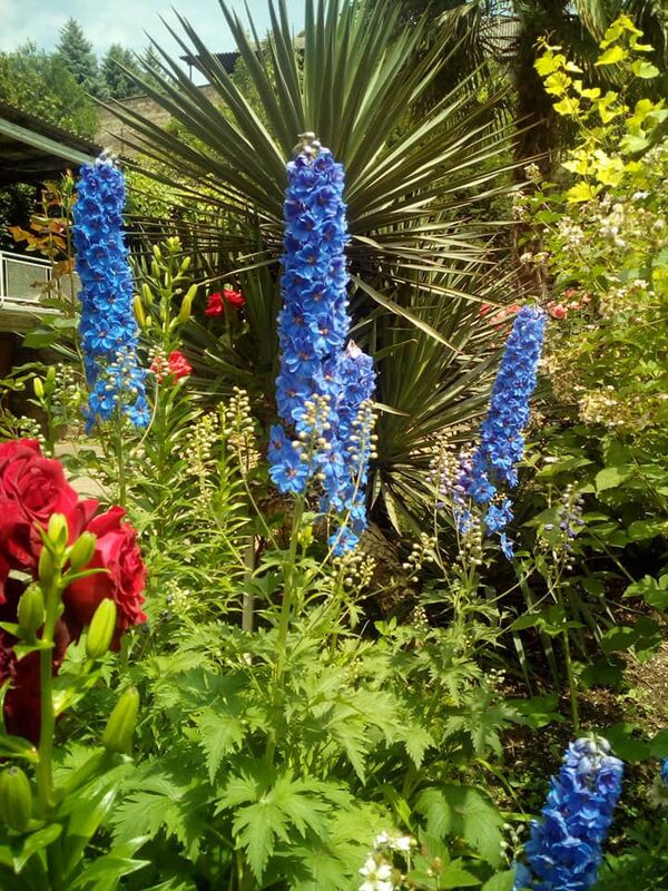 Мелис Бабаян создал в Армении райский уголок и принял у себя в гостях президента - Sputnik Армения