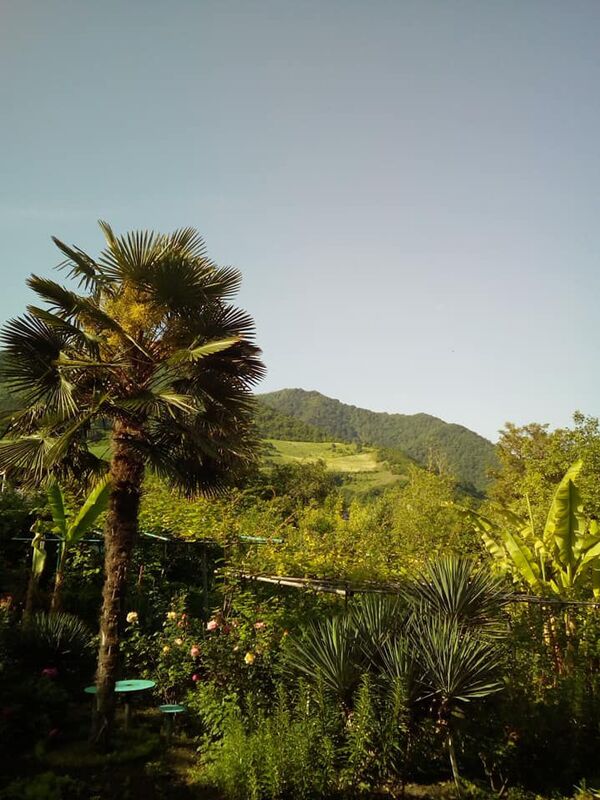 Мелис Бабаян создал в Армении райский уголок и принял у себя в гостях президента - Sputnik Армения