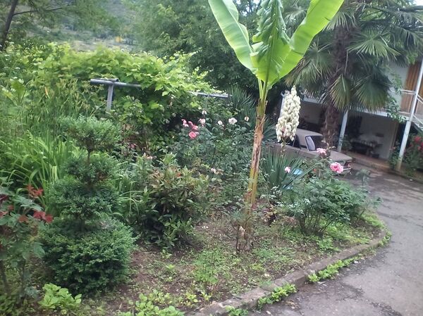 Мелис Бабаян создал в Армении райский уголок и принял у себя в гостях президента - Sputnik Армения