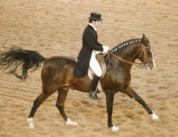 Зачем призер Олимпиады-80 Виктор Угрюмов отдал олимпийскую Волгу армянину из Ташкента - Sputnik Армения