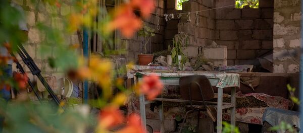 Обстрелянный дом в селе Айгепар, Тавуш - Sputnik Արմենիա