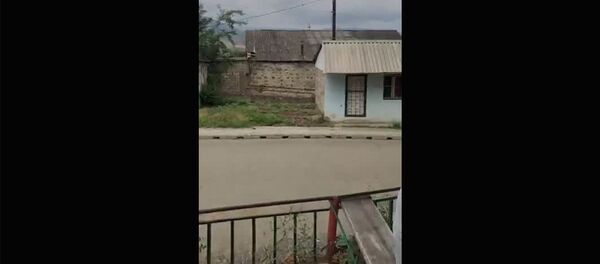 Տավուշի մարզի Չինարիի բնակիչների առօրյան 2020թ. հուլիսի 16-ի դրությամբ Տավուշի մարզի Չինարիի բնակիչների առօրյան 2020թ. հուլիսի 16-ի դրությամբ - Sputnik Արմենիա