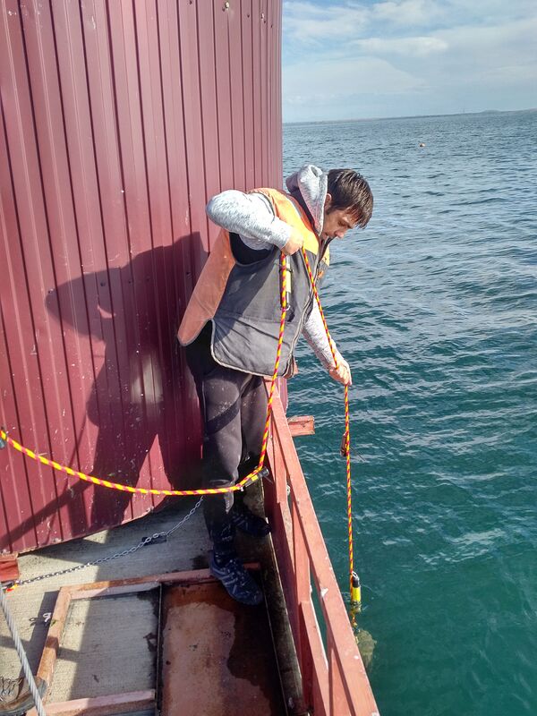 Սևանը կրկին կանաչել է. ինչ նոր խնդիրներ է «խոստանում» մոտեցող շոգը լճին - Sputnik Արմենիա