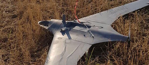 Сбитый подразделениями ПВО Карабаха летательный аппарат противника типа ORBITER-3 (18 июля 2020). Сбитый подразделениями ПВО Карабаха летательный аппарат противника типа ORBITER-3 (18 июля 2020). - Sputnik Արմենիա