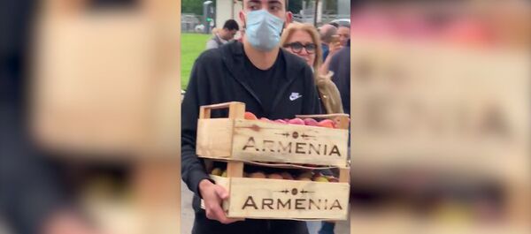 Продажа армянских фруктов на территории ЦОРК Бухта Продажа армянских фруктов на территории ЦОРК Бухта - Sputnik Армения