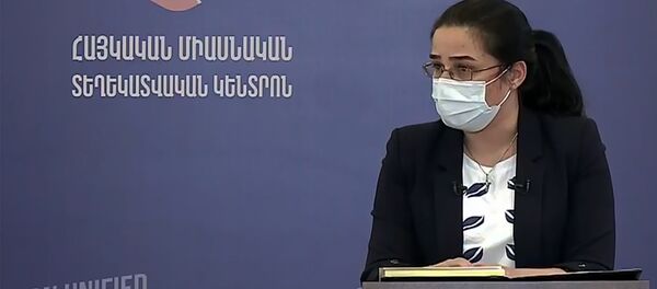 Пресс-секретарь МИД Анна Нагдалян во время брифинга по теме ситуации на армяно-азербайджанской границе (18 июля 2020). Иджеван Пресс-секретарь МИД Анна Нагдалян во время брифинга по теме ситуации на армяно-азербайджанской границе (18 июля 2020). Иджеван - Sputnik Արմենիա