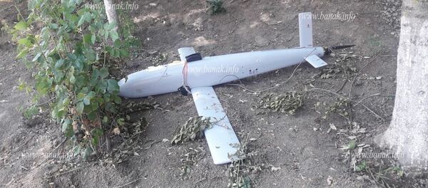 Подбитый на армяно-азербайджанской границе беспилотник противника Подбитый на армяно-азербайджанской границе беспилотник противника - Sputnik Արմենիա