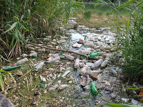 Река из-за мусора заболочена: что творится с Разданом, и кто будет его спасать - Sputnik Армения