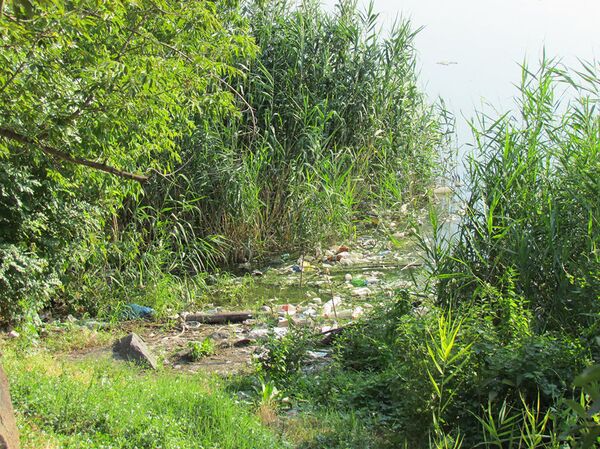 Река из-за мусора заболочена: что творится с Разданом, и кто будет его спасать - Sputnik Армения