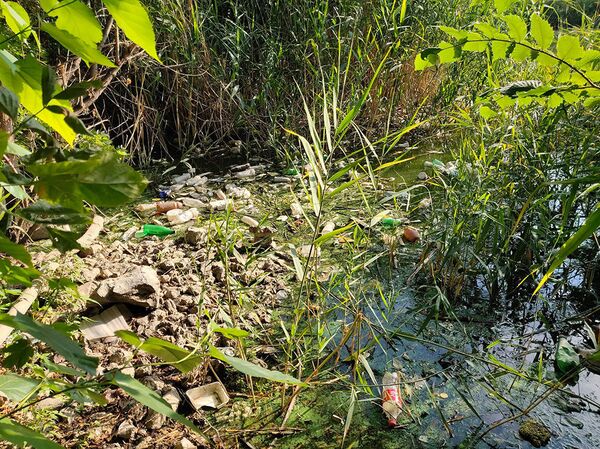 Река из-за мусора заболочена: что творится с Разданом, и кто будет его спасать - Sputnik Армения