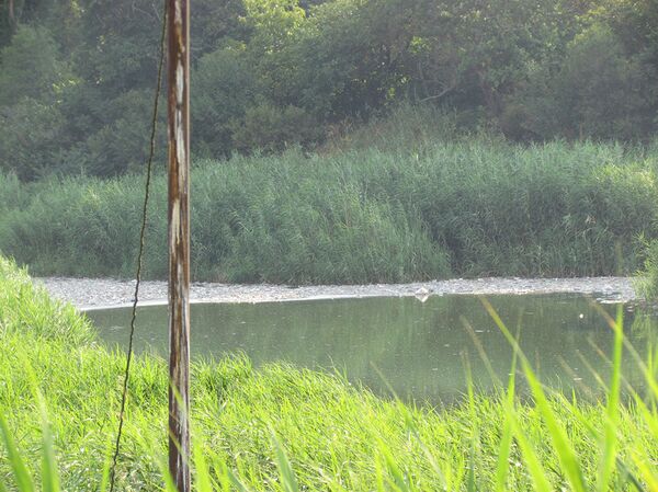 Река из-за мусора заболочена: что творится с Разданом, и кто будет его спасать - Sputnik Армения