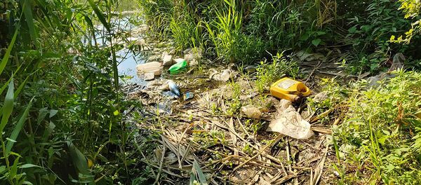 Мусор в русле реки Раздан - Sputnik Армения