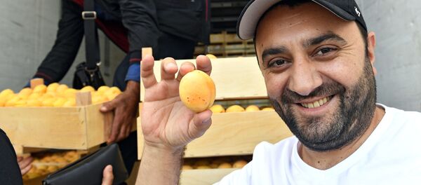 Продавцы абрикосов в торговом комплексе Бухта в Москве Продавцы абрикосов в торговом комплексе Бухта в Москве - Sputnik Армения