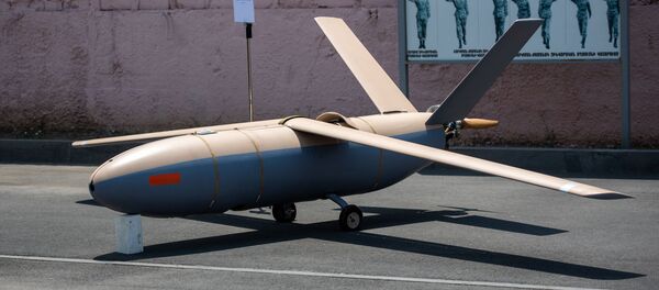 Разведывательный беспилотник Hermes 180 во время показа, организованного министерством обороны Армении (21 июля 2020). Еревaн Разведывательный беспилотник Hermes 180 во время показа, организованного министерством обороны Армении (21 июля 2020). Еревaн - Sputnik Армения
