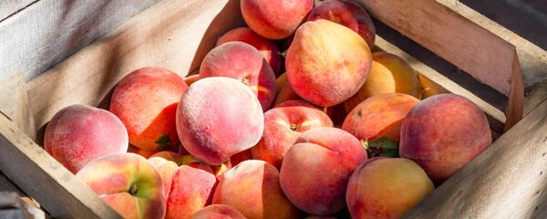 Персики - Sputnik Армения