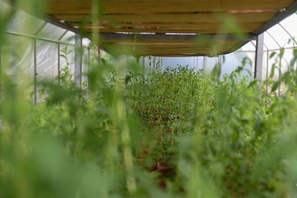 «Կեղտ չէ, հող է». նախկին պատգամավորը կյանքը «քաղցրացնելու» հետաքրքիր ձև է գտել «Կեղտ չէ, հող է». նախկին պատգամավորը կյանքը «քաղցրացնելու» հետաքրքիր ձև է գտել - Sputnik Արմենիա