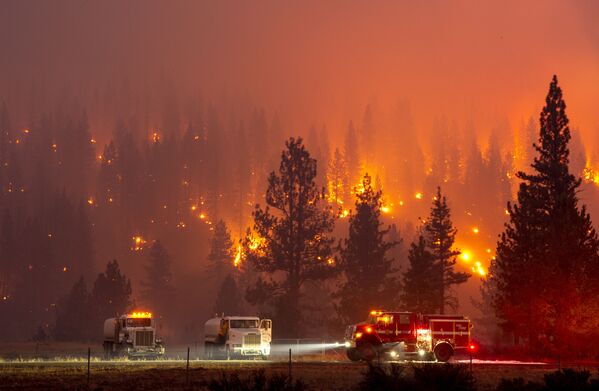Тушение лесного пожара в Калифорнии - Sputnik Армения