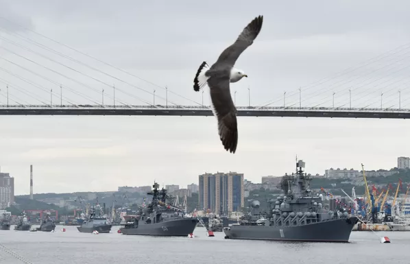 Чайка во время празднования Дня Военно-морского флота во Владивостоке - Sputnik Армения