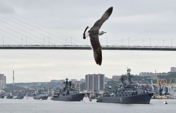 Чайка во время празднования Дня Военно-морского флота во Владивостоке - Sputnik Армения