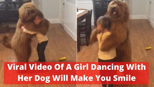 Видео девочки, танцующей со своей собакой, заставит вас улыбнуться - Sputnik Армения
