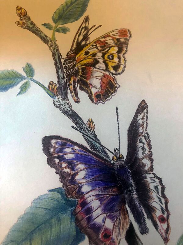 Ինչպես գյումրեցի տղամարդը սկսեց յուրօրինակ կտավներ ստեղծել գրչով - Sputnik Արմենիա