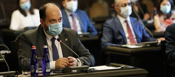 Министр образования, науки, культуры и спорта Араик Арутюнян на заседании правительства Армении (30 июля 2020). Еревaн - Sputnik Армения