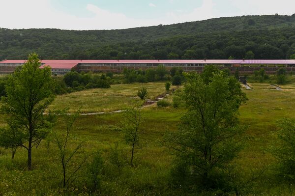 Выше, быстрее, сильнее: Цахкадзор был главной опорой в борьбе за олимпийское золото - Sputnik Армения