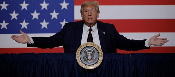 Президент США Дональд Трамп стоит перед американским флагом, участвуя в круглом столе по донорству плазмы во время визита в национальную штаб-квартиру Американского Красного Креста (30 июля 2020). Вашингтон - Sputnik Արմենիա