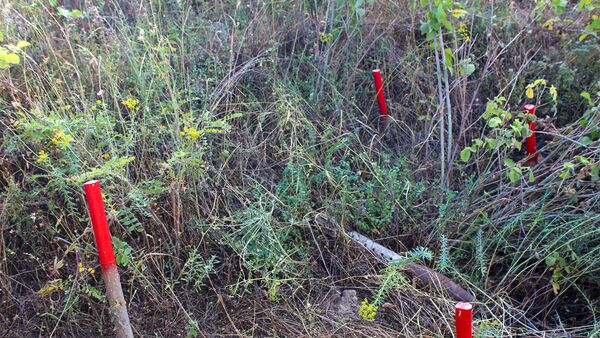 Специалисты Центра гуманитарного разминирования и экспертизы во время работы в Сюнике - Sputnik Армения