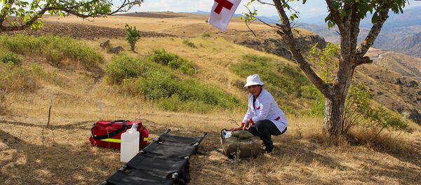 Специалисты Центра гуманитарного разминирования и экспертизы во время работы в Сюнике - Sputnik Армения