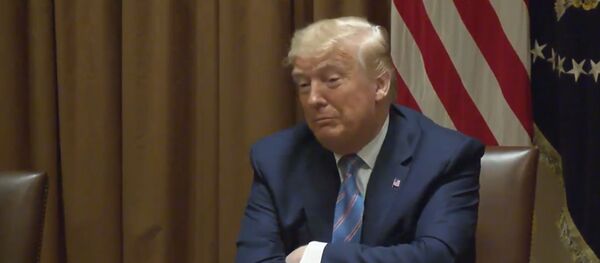 Ինչպես Թրամփը պատժեց Մերկելին - Sputnik Արմենիա