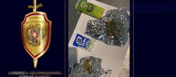 Հետախուզվողի ուղեբեռում թմրանյութեր են հայտնաբերվել Հետախուզվողի ուղեբեռում թմրանյութեր են հայտնաբերվել - Sputnik Արմենիա