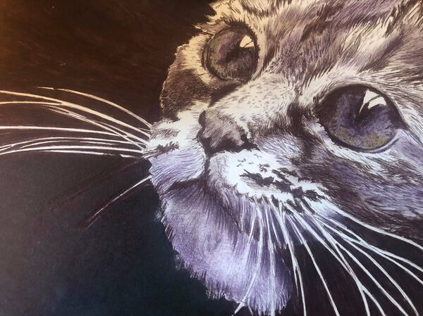 Ինչպես գյումրեցի տղամարդը սկսեց յուրօրինակ կտավներ ստեղծել գրչով - Sputnik Արմենիա