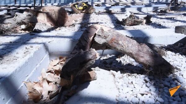 Мэрия ничего не может сделать? В парке Маштоца вырубают деревья по закону - Sputnik Армения