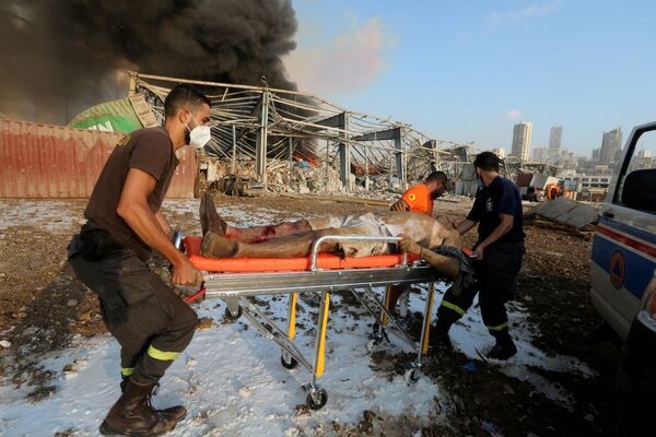 Раненые после взрыва в Бейруте (4 августа 2020). Ливан - Sputnik Армения