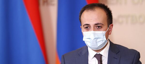 Онлайн-брифинг по итогам заседания комендатуры (5 августа 2020). Еревaн - Sputnik Արմենիա