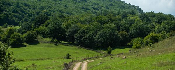 Село Овк, Тавушская область Село Овк, Тавушская область - Sputnik Արմենիա
