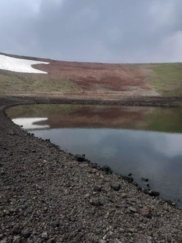 Жемчужина для скотины: как замкнутый круг контроля губит горное озеро в Армении Жемчужина для скотины: как замкнутый круг контроля губит горное озеро в Армении - Sputnik Армения