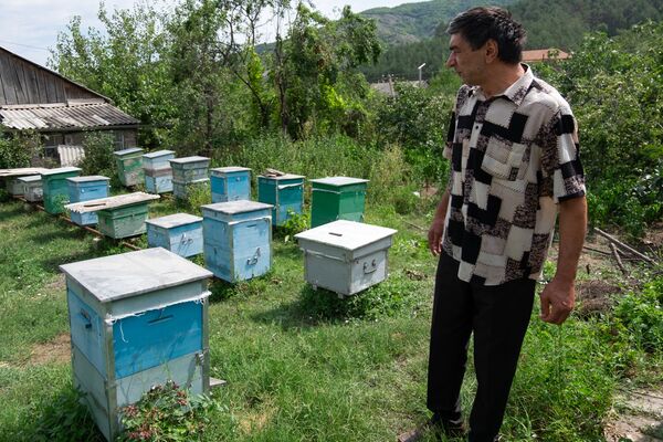 Суд и мед: как живут в армянском селе Барекамаван - на границе с Азербайджаном - Sputnik Армения