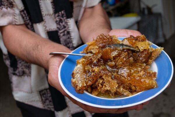 Суд и мед: как живут в армянском селе Барекамаван - на границе с Азербайджаном - Sputnik Армения