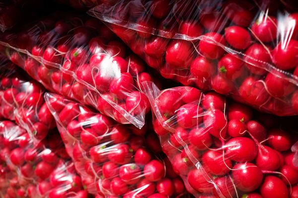 Что происходит с организмом, когда вы едите редиску? - Sputnik Армения