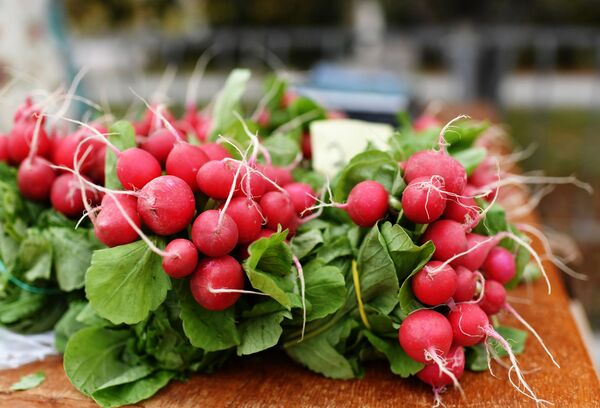 Ի՞նչ է կատարվում օրգանիզմում, երբ կարմիր բողկ ենք ուտում - Sputnik Արմենիա